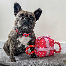 Load image into Gallery viewer, happy birthday dog toy pink
