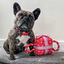 Load image into Gallery viewer, happy birthday dog toy pink