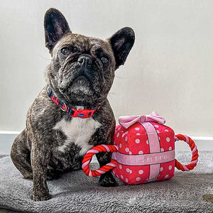 happy birthday dog toy pink
