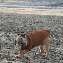 Load image into Gallery viewer, Amsterdam Sweaters - with Harness Hole