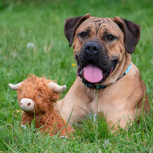 Load image into Gallery viewer, Fergus Highland Cow Dog Toy