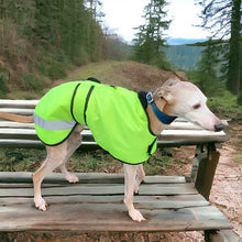 Load image into Gallery viewer, warm winter whippet coats