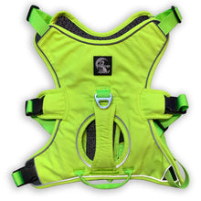 Load image into Gallery viewer, Escape Proof Greyhound & Whippet Harness – 3 Strap