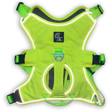 Load image into Gallery viewer, Escape Proof Greyhound & Whippet Harness – 3 Strap