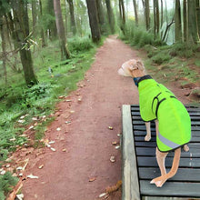 Load image into Gallery viewer, hi-vis greyhound coats uk