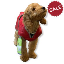 Load image into Gallery viewer, cockapoo coat