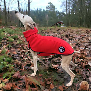 Runo - extra-thick greyhound/whippet base layer coat