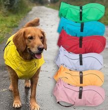 Load image into Gallery viewer, A golden retriever wearing a bright yellow dog rain jacket stands on a wet road, next to a vertical stack of the same rain jacket shown in multiple colors: green, blue, red, light gray, orange, and pink.