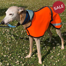Load image into Gallery viewer, 18-21&#39;&#39; Extra Lightweight Unlined Summer Whippet Coat HiVis Orange (3565)
