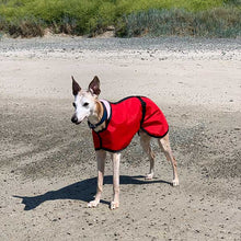 Load image into Gallery viewer, waterproof cool whippet coats