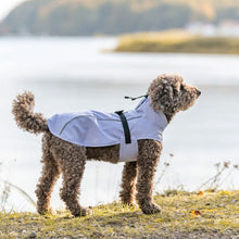 Load image into Gallery viewer, A curly-haired brown dog standing on a grassy shore by the water, wearing a light gray waterproof dog coat