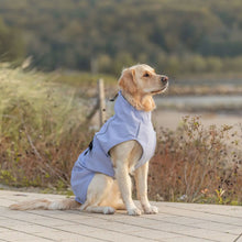 Load image into Gallery viewer, A golden retriever dog sitting on a paved path outdoors, wearing a light blue dog coat. The background shows a blurred natural setting with grasses and trees.