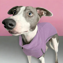 Load image into Gallery viewer, Fleece Sighthound Base-Layer Coat with Underbelly and Snood
