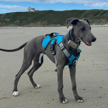 Load image into Gallery viewer, Escape Proof Greyhound & Whippet Harness – 3 Strap