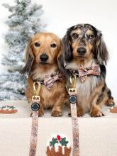 Load image into Gallery viewer, Disney Dogs Collection: Harnesses / Collars / Leads