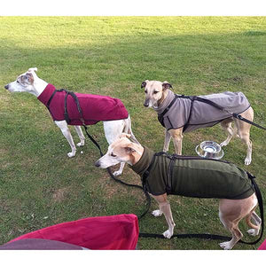 15-18'' Choc Fleece Sighthound Base-Layer Coat with Underbelly and Snood (3498)