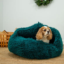 Load image into Gallery viewer, dog cave beds. super plush and cosy teal