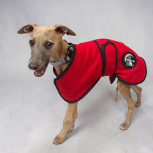 Load image into Gallery viewer, puppy whippet maggie in drydogs kennel coat
