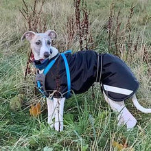 Load image into Gallery viewer, what is the best coat for a whippet