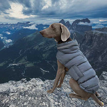 Load image into Gallery viewer, Puffa - Padded/Quilted Dog coat with Underbelly Protection