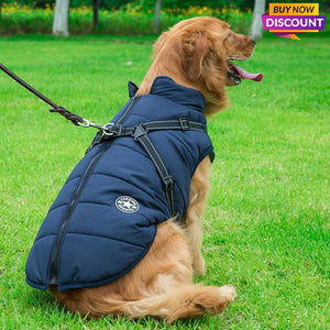 blue padded winter dog coat with built in harness