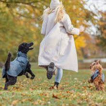Load image into Gallery viewer, Woman walking two dogs in a park with autumn foliage