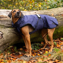 Load image into Gallery viewer, Dog wearing a blue coat standing on a log in an autumn setting