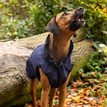 Load image into Gallery viewer, Dog wearing a navy blue raincoat standing outdoors with greenery in the background
