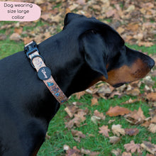Load image into Gallery viewer, Disney Dogs Collection: Harnesses / Collars / Leads