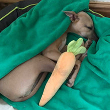 Load image into Gallery viewer, Cosy green blanket whippet bed
