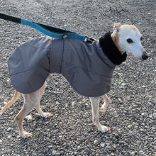Load image into Gallery viewer, best greyhound coat for winter
