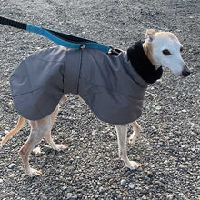 Load image into Gallery viewer, best greyhound coat for winter