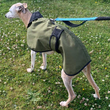 Load image into Gallery viewer, warm weather greyhound coat with harness hole