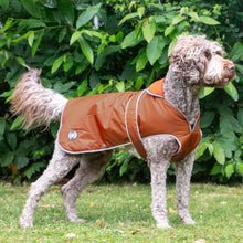 Load image into Gallery viewer, terracotta stormguard dog coat