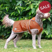 Load image into Gallery viewer, terracotta stormguard dog coat