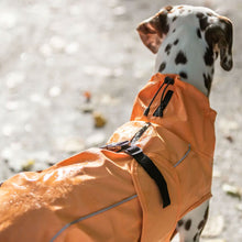 Load image into Gallery viewer, A Dalmatian dog wearing a bright orange waterproof dog coat outdoors on a wet, light-colored ground.