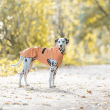 Load image into Gallery viewer, A Dalmatian dog standing on a sunlit dirt path in a forest, wearing an orange dog raincoat with black trim and a black hook-and-loop strap.