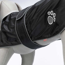 Load image into Gallery viewer, Orleans Budget-Friendly Dog Coat