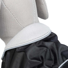 Load image into Gallery viewer, Orleans Budget-Friendly Dog Coat