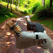 Load image into Gallery viewer, quilted waterproof sighthound coat for winter