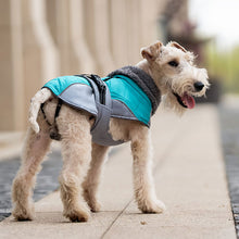 Load image into Gallery viewer, ottawa dog jacket with fleece lining for warmth