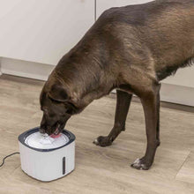 Load image into Gallery viewer, Dog drinking from a white pet water fountain on a wooden floor.