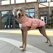 Load image into Gallery viewer, Puffa - Padded/Quilted Dog coat with Underbelly Protection
