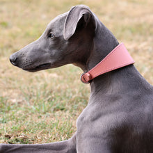 Load image into Gallery viewer, A gray dog wearing a wide, pink leather collar with a silver metal ring and snap closure, sitting outdoors on a grassy lawn.