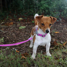 Load image into Gallery viewer, viva padded handle dog leads