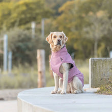 Load image into Gallery viewer, A golden retriever dog sitting on a concrete ledge outdoors, wearing a light pink dog coat. The background is a soft-focus park setting with trees and a concrete wall.