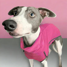 Load image into Gallery viewer, 15-18&#39;&#39; Choc Fleece Sighthound Base-Layer Coat with Underbelly and Snood (3498)
