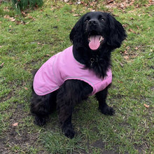 Load image into Gallery viewer, A black dog sitting on grass outdoors wearing a pink dog coat.