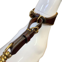 Load image into Gallery viewer, Premium Leather Lead/Leash with Brass Fittings