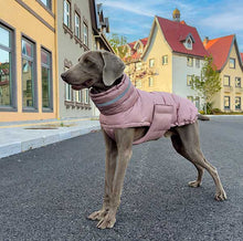 Load image into Gallery viewer, Puffa - Padded/Quilted Dog coat with Underbelly Protection